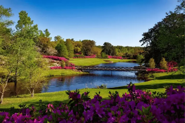 Landscaped backyard with private water feature, flowers, trees, and shrubbery