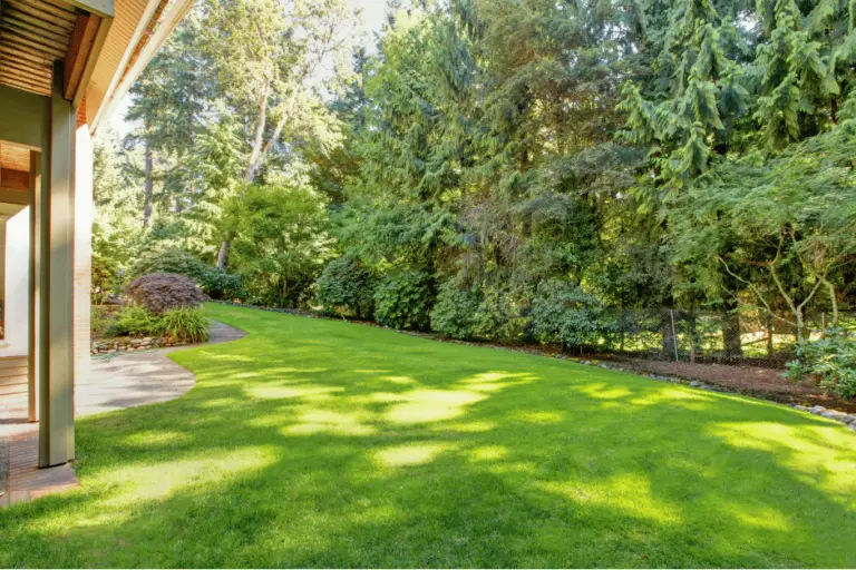 Pleasant View landscaping in the backyard of a luxury home