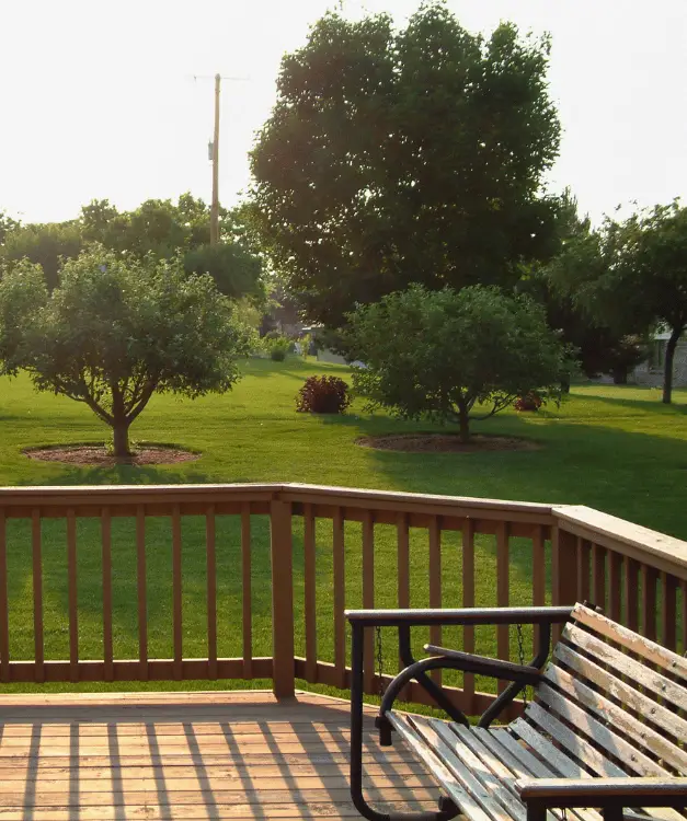 Landscaping with wooden patio and trees