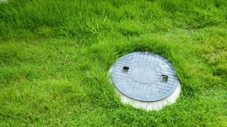 Septic tank cover surrounded by green grass