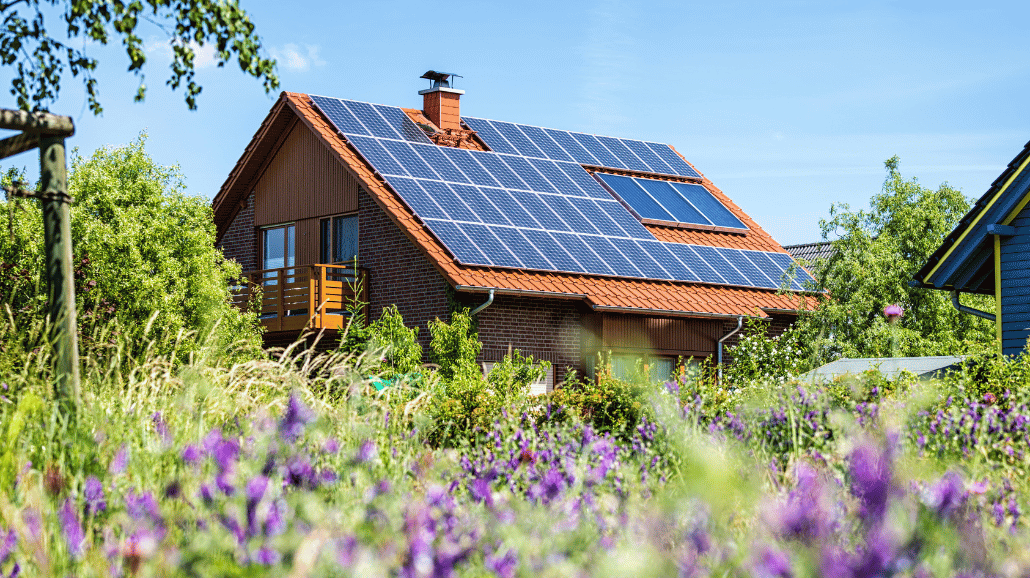 Home with solar panels surrounded by purple flowers