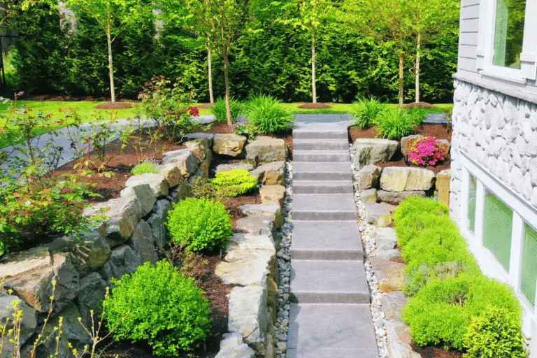 Concrete sidewalk through a landscaped backyard in Boise