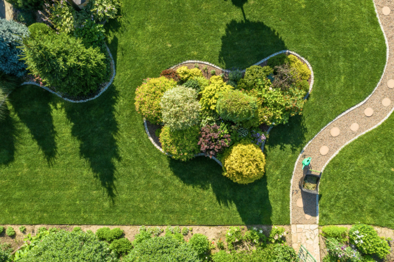 Aerial view of backyard landscaping